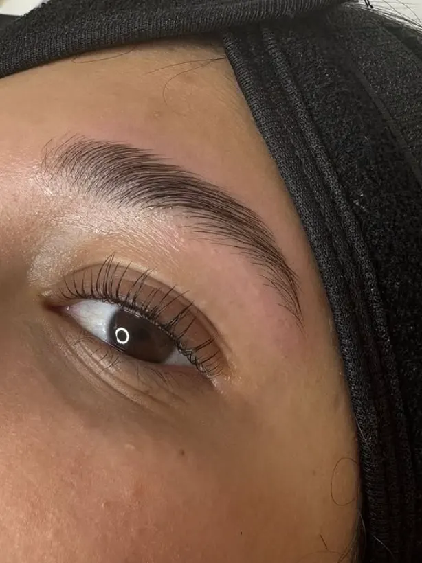 laminado-puntos-clave